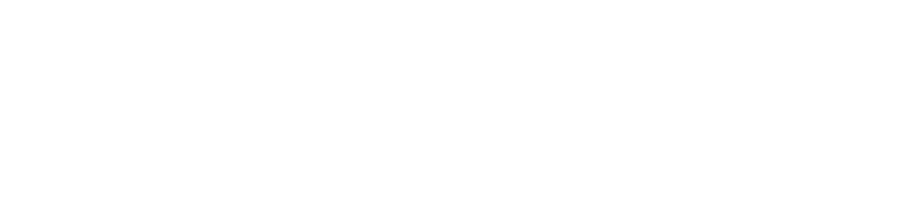 Wordmark, white version